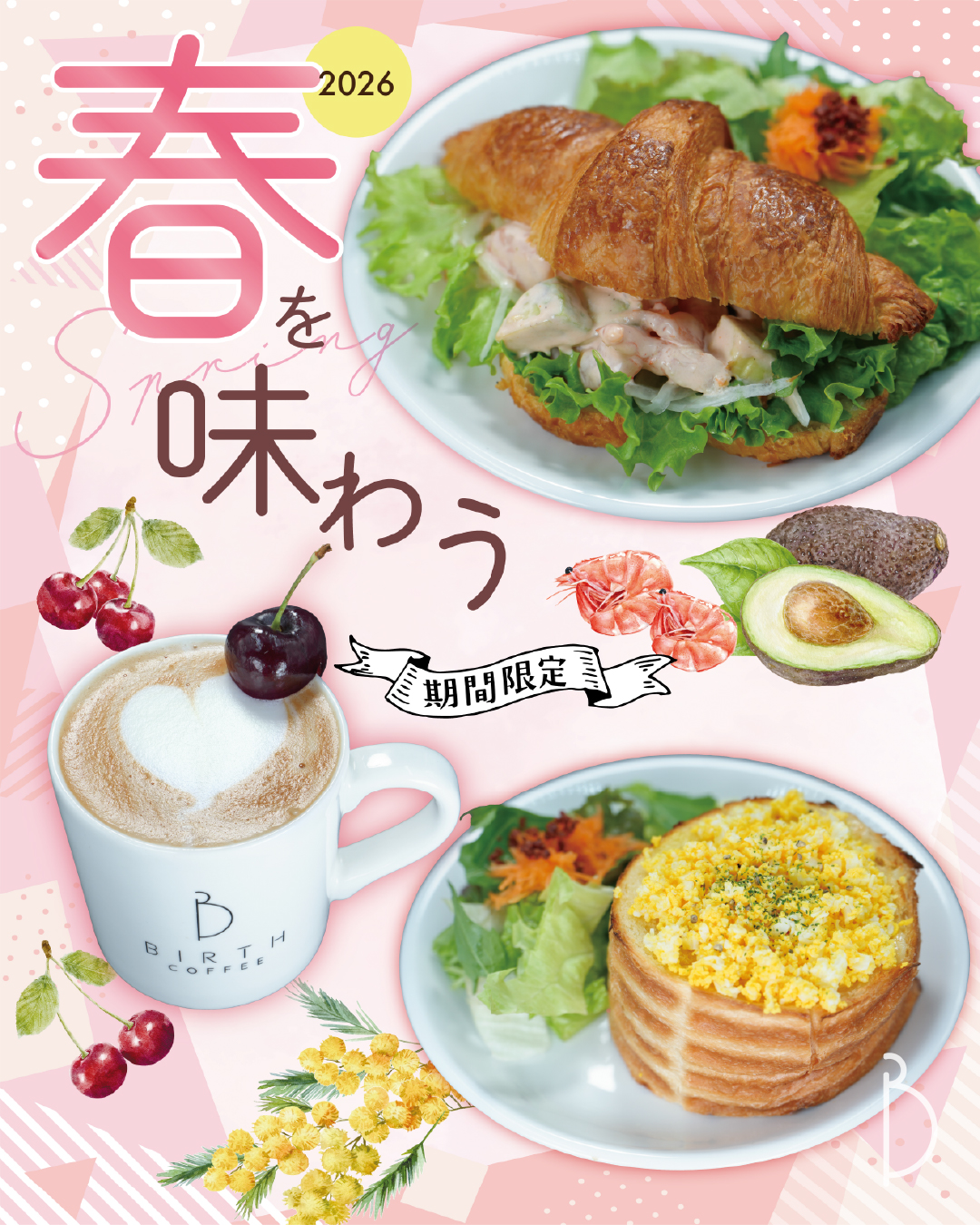 20260212birth_spring_ins01