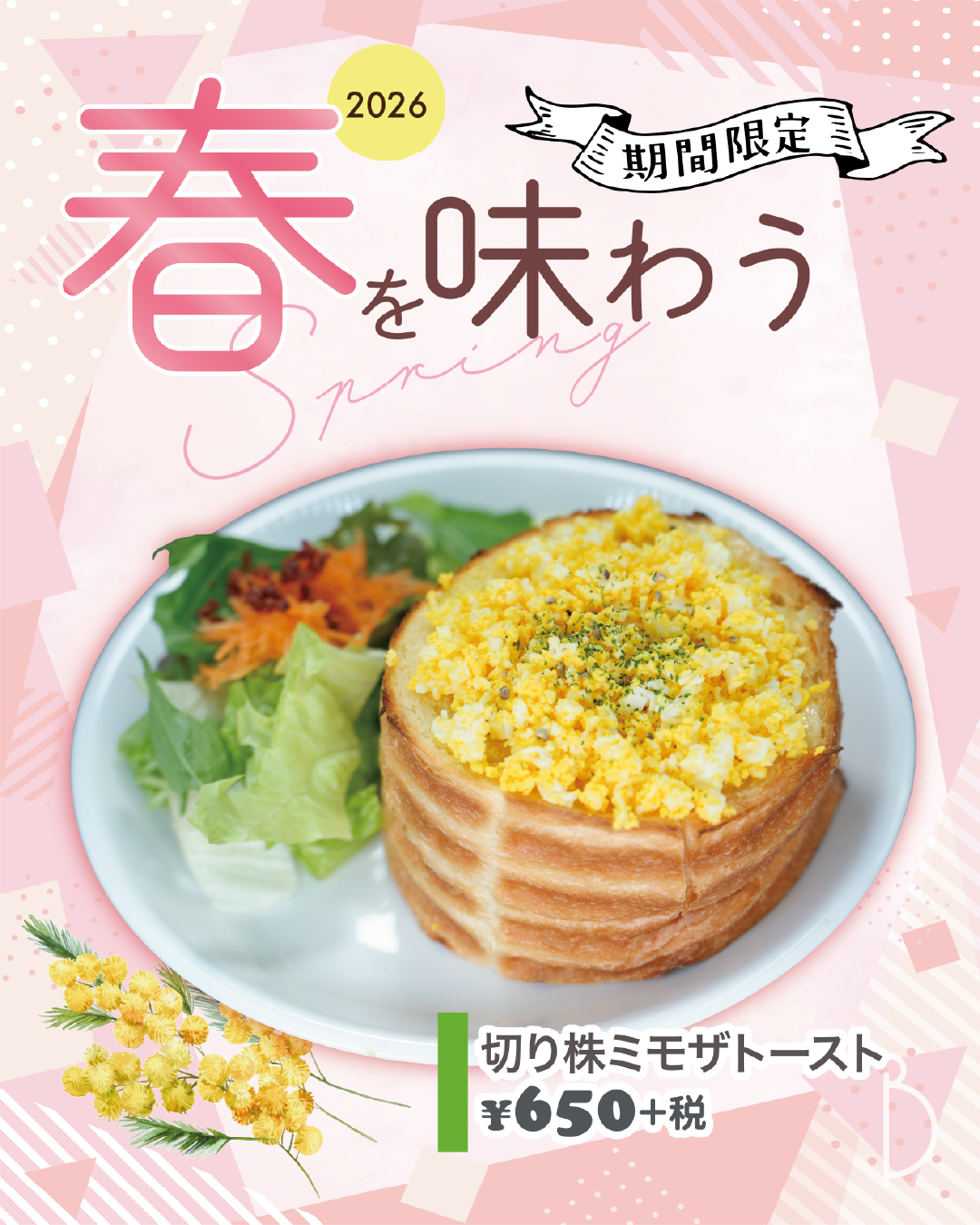 20260212birth_spring_ins04